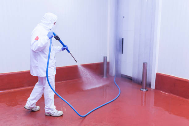 Best Graffiti Removal  in Corunna, MI