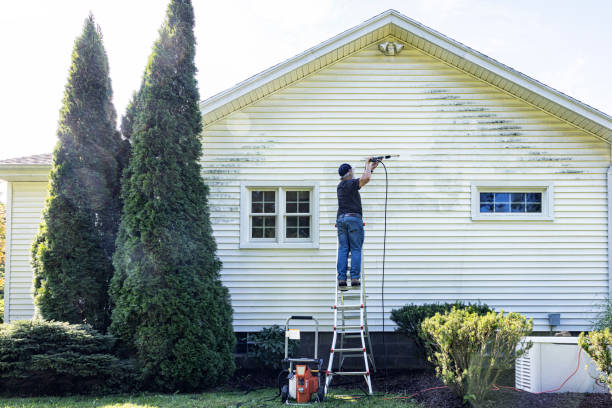 Best Soft Washing  in Corunna, MI